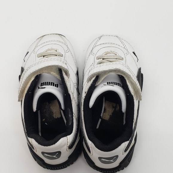 Pumas - Picture 8 of 9